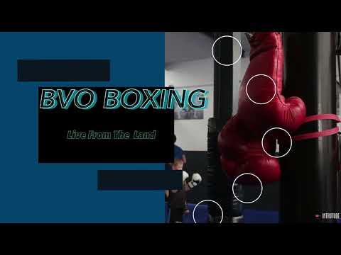 BVO Boxing