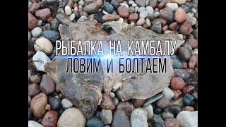 Когда клев камбалы в балтийском море