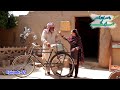 Thresher Na Rolla Poa Tajo Dada Shero Ep75 Pothwari Top Funny Drama Punjabi Funny Videos