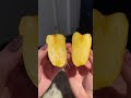 Have You Ever Tried Cashew Fruit