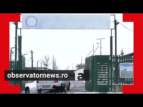 Schimbări majore la Centrul Educativ din Buziaș după ce cazul abuzurilor a devenit public