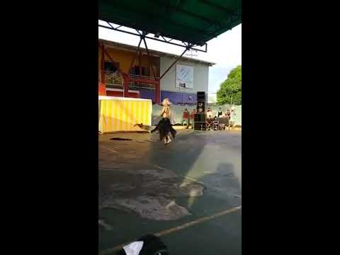 Paul Dinletir Quest of the oracle