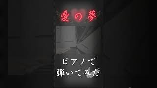 Download lagu 愛の夢/リスト 弾いてみた #弾いてみた #リスト #liszt #ピアノ #ピアノ演奏 #shorts mp3