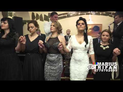 03 Revelion Dunarea Albastra 2016 - Lucian Cojocaru (ascultare, cloaj hore si sarbe) LIVE (cover)