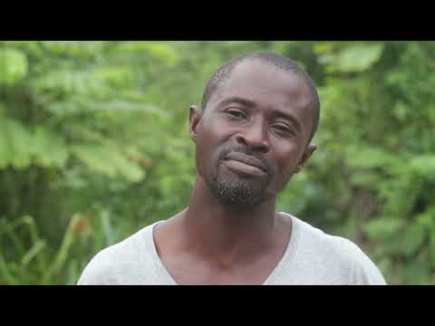 The Secret To Planting Fruit Trees II Kumi Perma Ecovillage Ghana