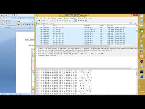 ccna 7.1.6 Lab - Use Wireshark to Examine Ethernet Frames Topology