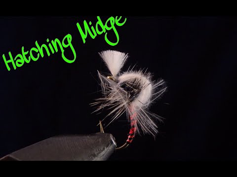 fly tying HATCHING MIDGE por Jorge G