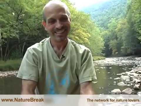 YouTube Video DTgoe8dzeVE