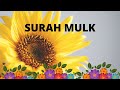 Surah Mulk - 11 TIMES WITH NATURAL VIDEOS