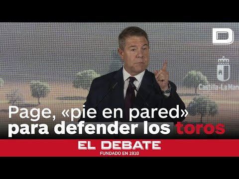 Organizaciones se unen contra la ley de patrimonio cultural de la tauromaquia