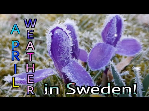 Setback! It's April || April Weather in Sweden