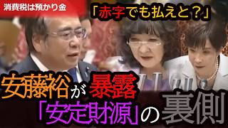 【国会騒然】安藤裕が暴く消費税の「罠」赤字でも徴収される残酷な仕組みと中小企業の危機【参政党】