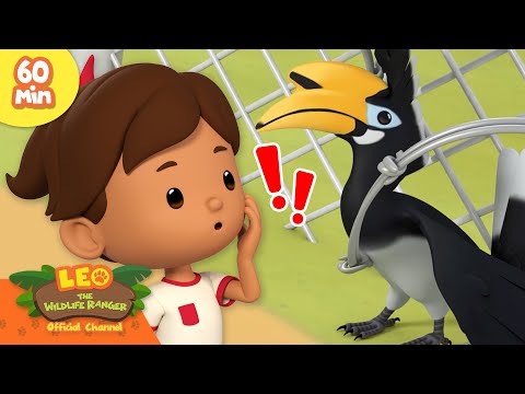 Witness21 Editor  2025 03 15