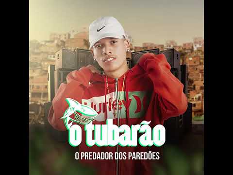 ativei o lado selvagem (feat mc magrela