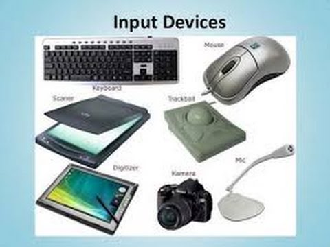 Input Devices/ Fundamentals of Computer/ Input