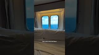 Cruise Cabin Review - First Night on Grandeur of the Seas 🛳️ Before you book this cruise cabin,