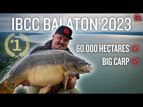 The WORLD BIGGEST Carp Competition - Team Trakker - IBCC 2023 BALATON