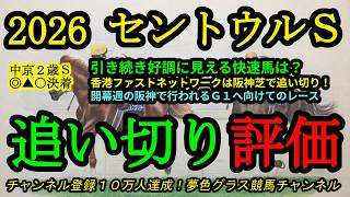 【最終追い切り評価】2026セントウルステークス！引き続き良く見える快速馬は？注目香港のファストネットワークは阪神芝コースでの走りを披露！