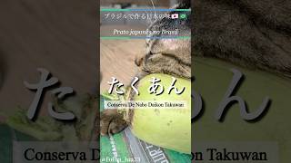 【サンパウロ在住🇧🇷】ブラジルで作るたくあん