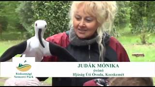 TERMÉSZETVÉDELMI KÖRKÉP 