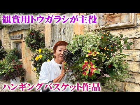 コスメア、ジュエリーバスケット 植物