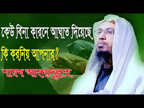 What should I do if someone harms me? Shaykh Ahmadullah