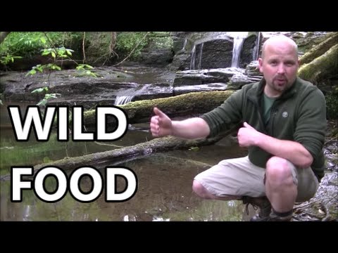 , title : 'Wild Food + Animal Tracks and Signs'