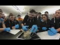 Hands On Science Biology