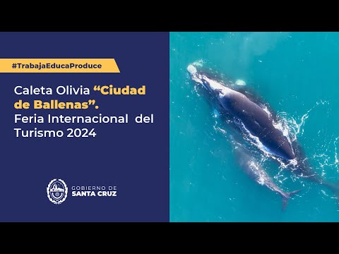 Portada video