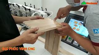 MÁY PHAY MỘNG MANG CÁ - ĐUÔI ÉN CNC WOODMASTER CHẤT LƯỢNG SỐ 1 VIỆT NAM