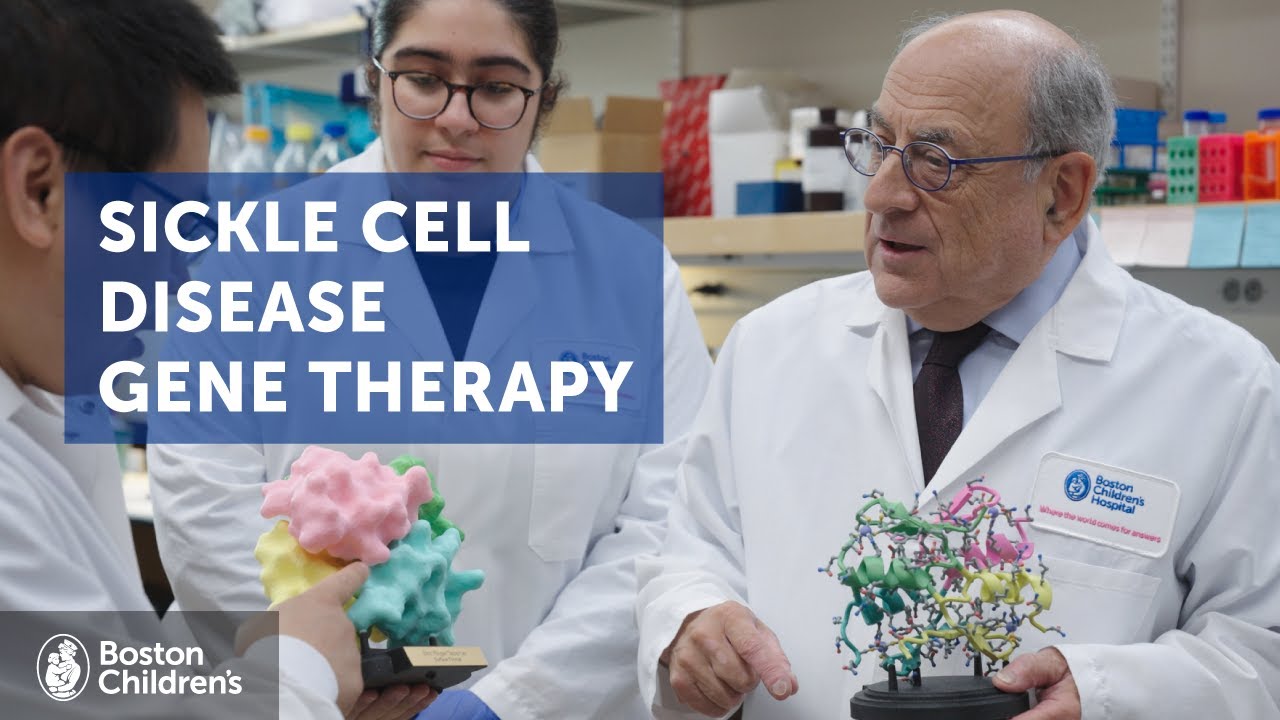 Gene therapy for sickle cell disease: The journey to a new treatment | Boston Children's Hospital