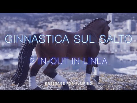 Dressageforjumping: Due in-out in linea #equitazione #cavalli
