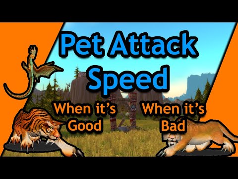 Hunter Pet Misconceptions - Classic WoW