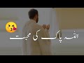 Jab Allah Kisi Ko Pasand Krta Sana Khan Best Lines Allah Ki Muhabat Sana Khan Status Short Sanakhan
