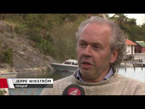 Fotografer bemöter Trumps påhopp på Sverige - Nyheterna (TV4)