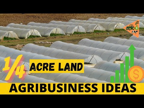 , title : '¼ ACRE LAND Agriculture Business Ideas to be a MILLIONAIRE FARMER | Profitable Agribusiness Ideas'