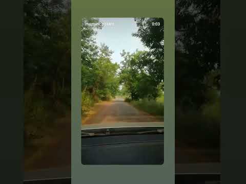 trending video #calm nature