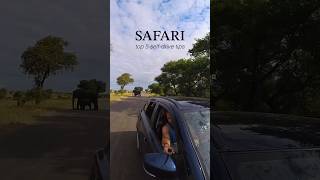 Top 5 things we learned when doing a self-drive safari in #KrugerNationalPark! #selfdrivesafari #tip