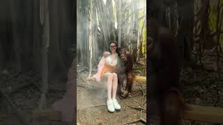 Download lagu menang banyak ni orang utan 😂 #shorts mp3