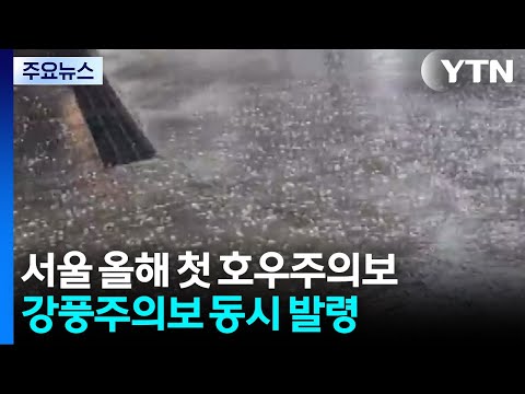'강한 소나기' 서울 올해 첫 호우특보...강풍특보 동시 발령 / YTN