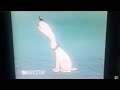 Sesame Street D Is For Dog With Added Sound Effects