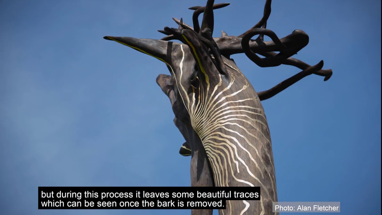 Elpida Hadzi-Vasileva: Collaborations with the Lakeside Arts and the University Of Nottingham