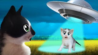 КОТ МАЛЫШ и КРОЛИК БАФФИ vs ПРИШЕЛЕЦ! КОШКА МУРКА ЗАКОЛДОВАНА! НЛО против КОТОВ! Pretend play Aliens