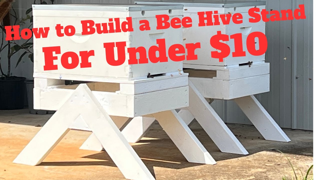 Building a Bee Hive Stand for Under $10 - Easy at Home DIY Money Saver
