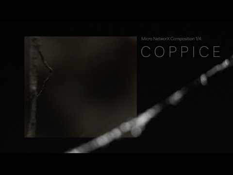 Coppice // Lange Nacht der Musik (klangpol)