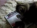 JimJam Spots Herself In DJmag