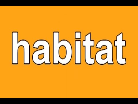 Animal Habitats | Habitats Song | Habitat | Habitat Song for Kids | Jack Hartmann Video