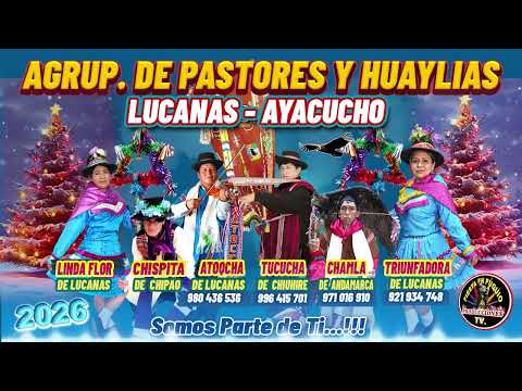PASTORES Y HUAYLIAS DE LUCANAS - AYACUCHO PARTE 1. con los Maestros Atoqcha  y Tucucha