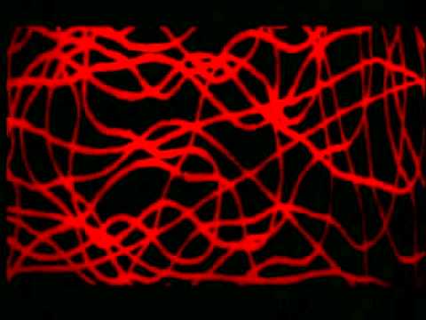 Die Fliege (1958) - Trailer
