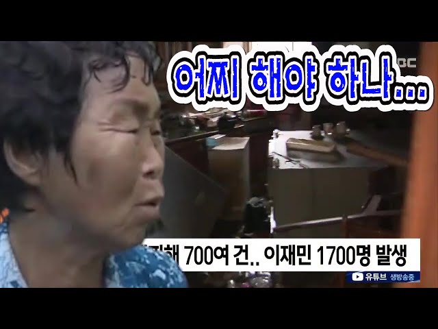 섬진강 둑 터지고 물폭탄 